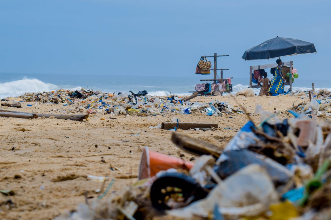 To Pay or Not to Pay the Plastic Bag Fee