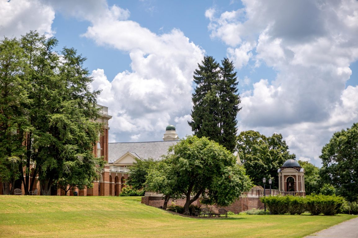 trees spread across campus