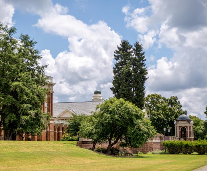 trees spread across campus