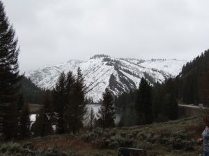 grand teton, photo taken by author