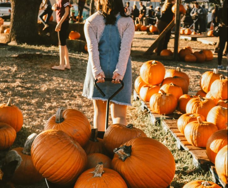 A girl carrying pumpkins