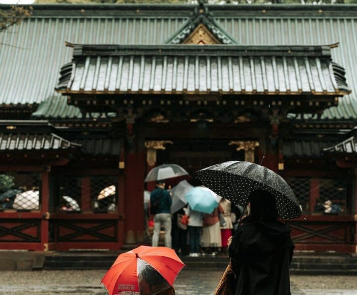 Rain