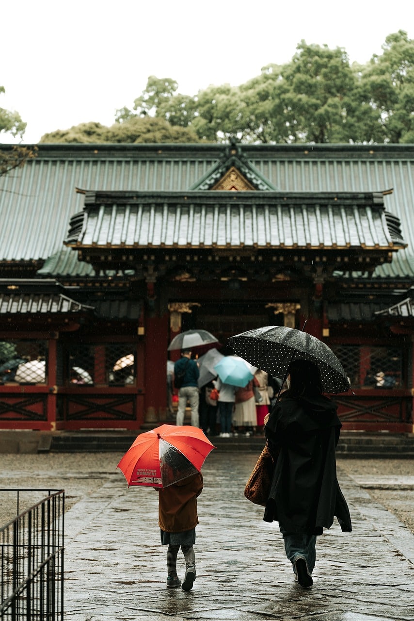 Rain