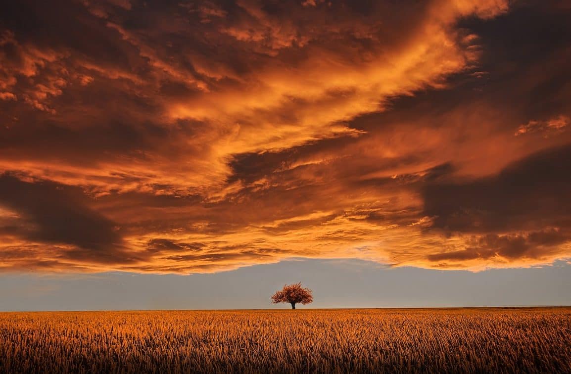 Sky